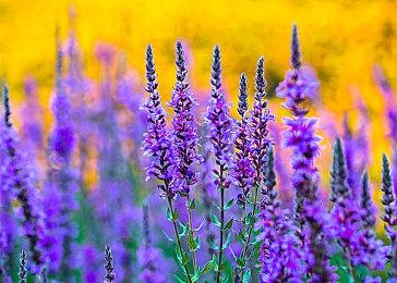 《尼克儿童频道全明星大乱斗2》将于11月3日发售