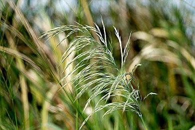 Sensor Tower 2022中国手游出海年度盘点：《原神》蝉联年度收入冠军